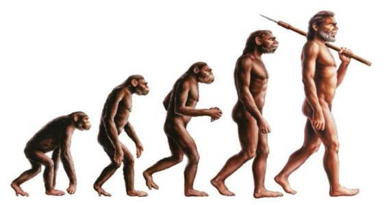 ¡¿El origen del ser humano un simio?!