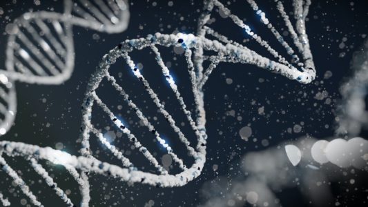 El mapa genético y la legislación de su función