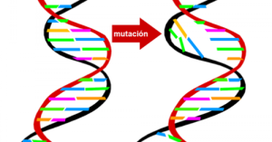 Lee más sobre el artículo ¿Es la mutación genética cien por ciento aleatoria?