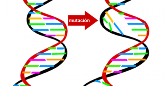 ¿Es la mutación genética cien por ciento aleatoria?