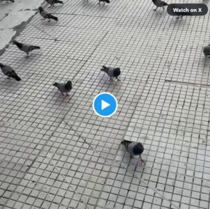 La casa bendita ocultada bajo la tierra