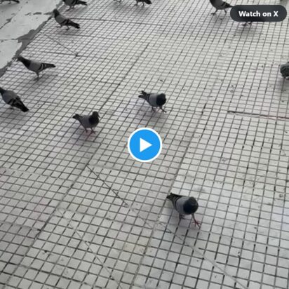 La casa bendita ocultada bajo la tierra